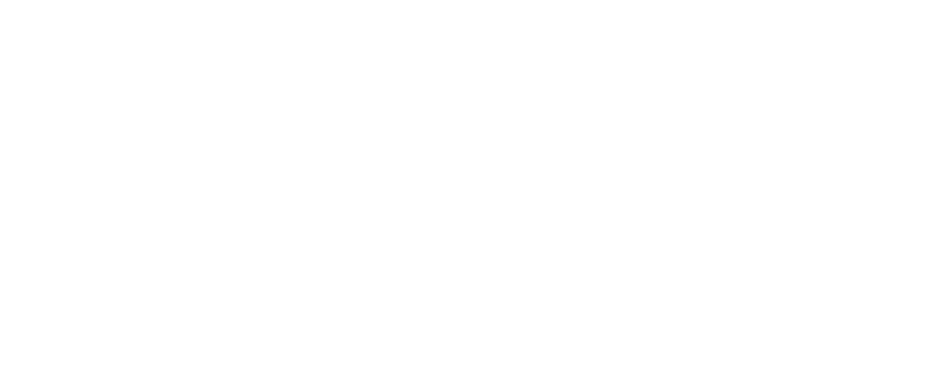 dix